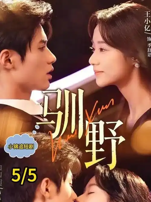深蓝回声 职场群像剧更新